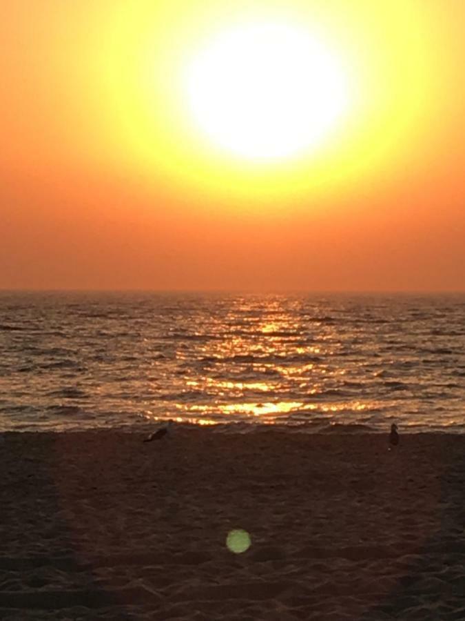 Cabana Mar E Serra 세심브라 외부 사진